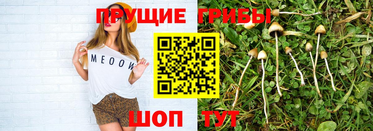 Псилоцибиновые грибы ЛСД Сунжа