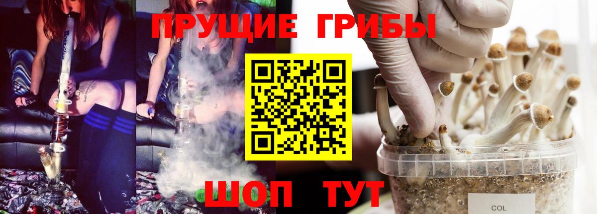 Галлюциногенные грибы ЛСД  Вход с VPN  Галлюциногенные грибы ЛСД  Сунжа 